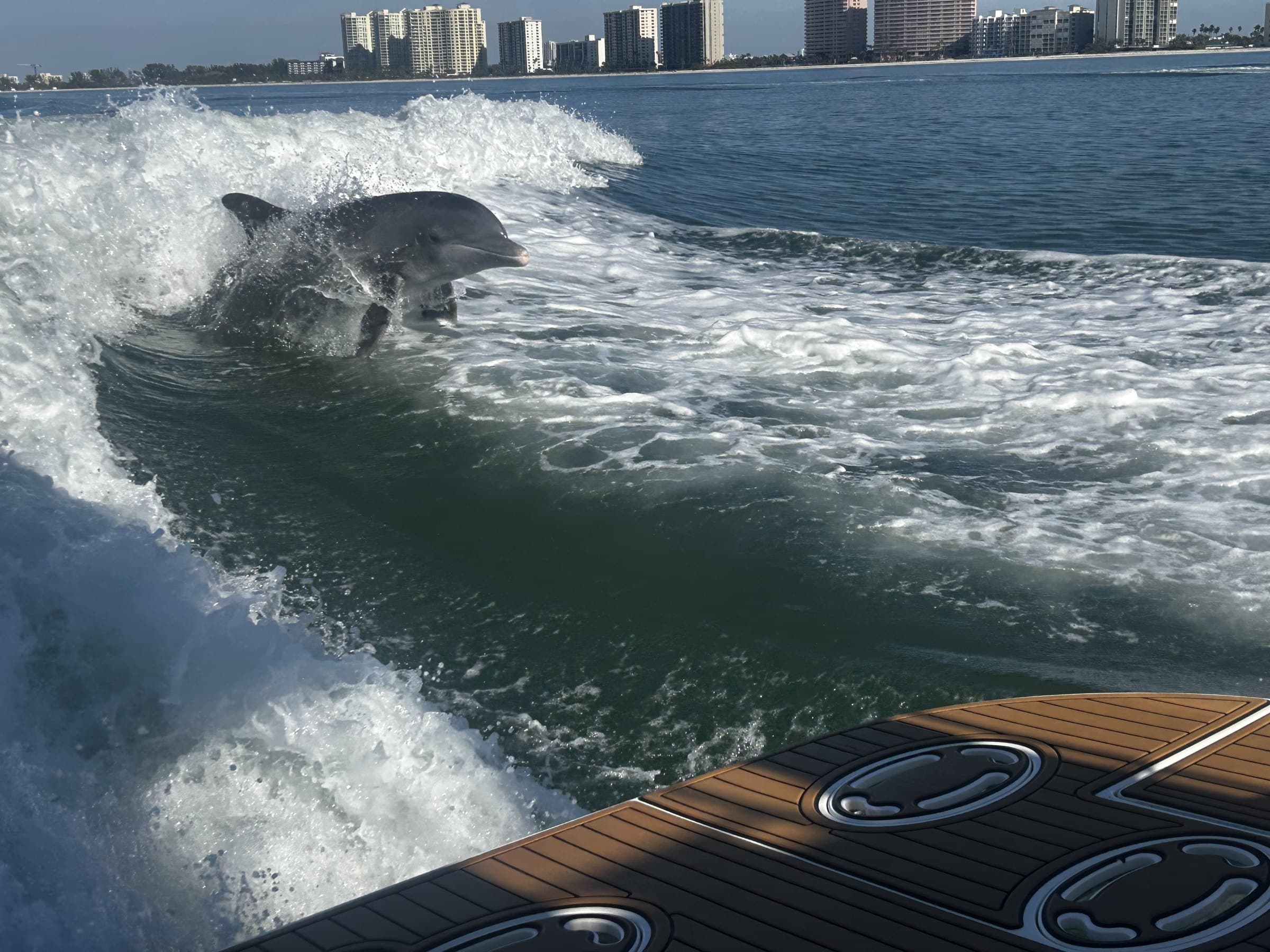 Private boat trips from Clearwater Beach