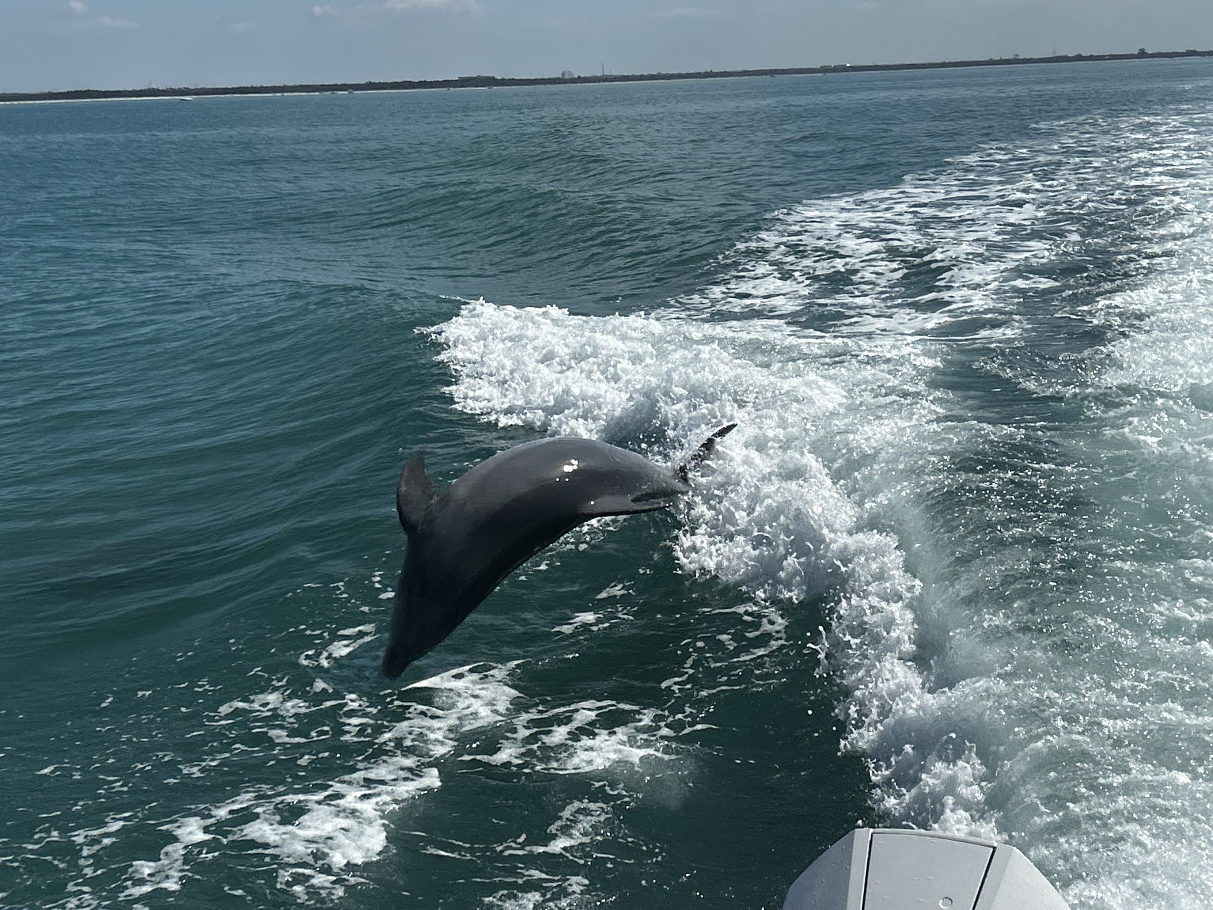 A private yacht trip to Egmont Key