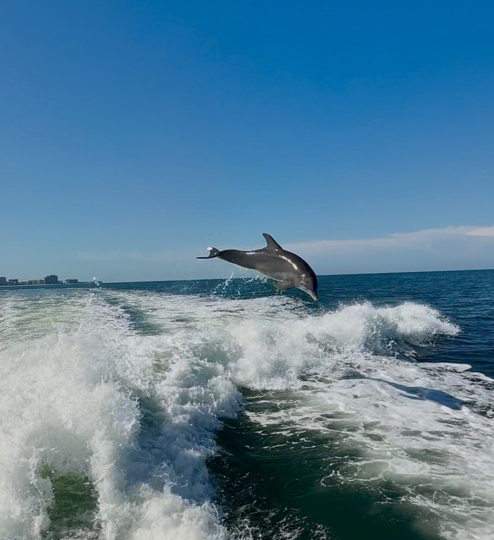 Private boat rental at Madeira Beach
