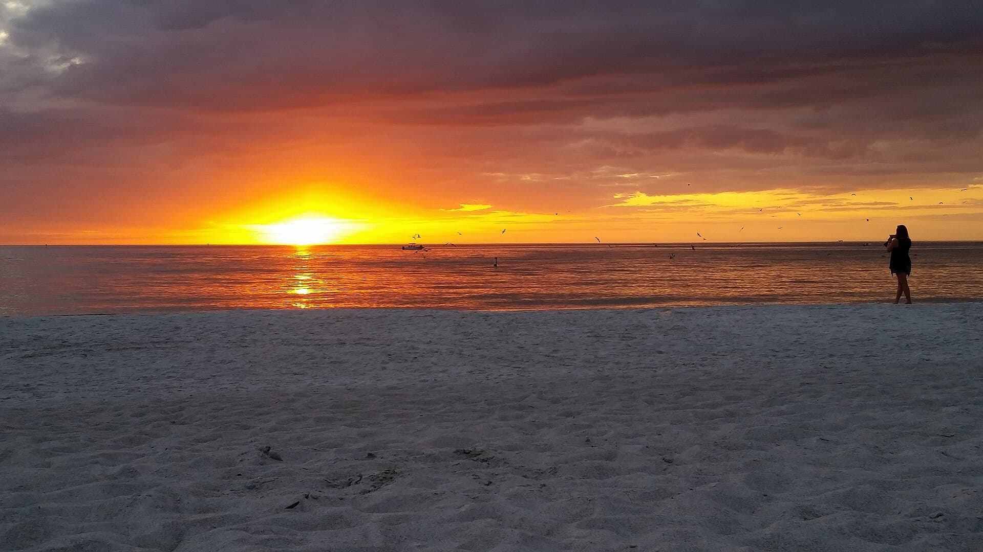 Private boat rental at Madeira Beach