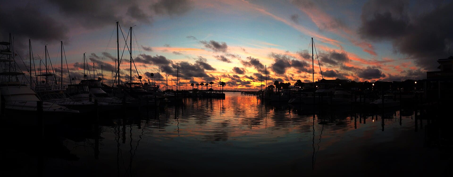 Private boat charters for Dunedin and Tarpon Springs