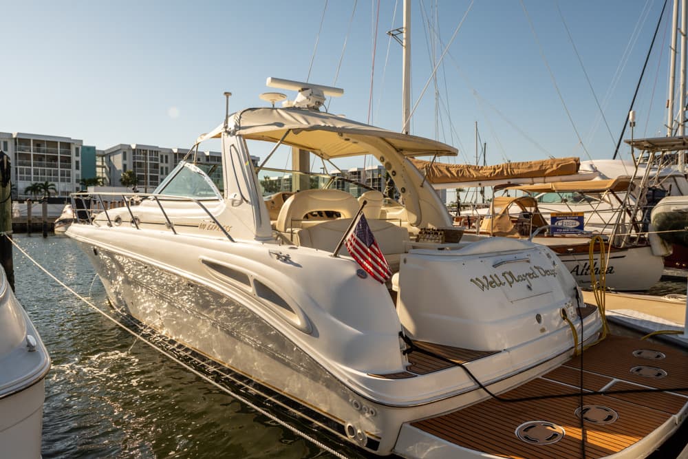 41' Sea Ray Express charter yacht